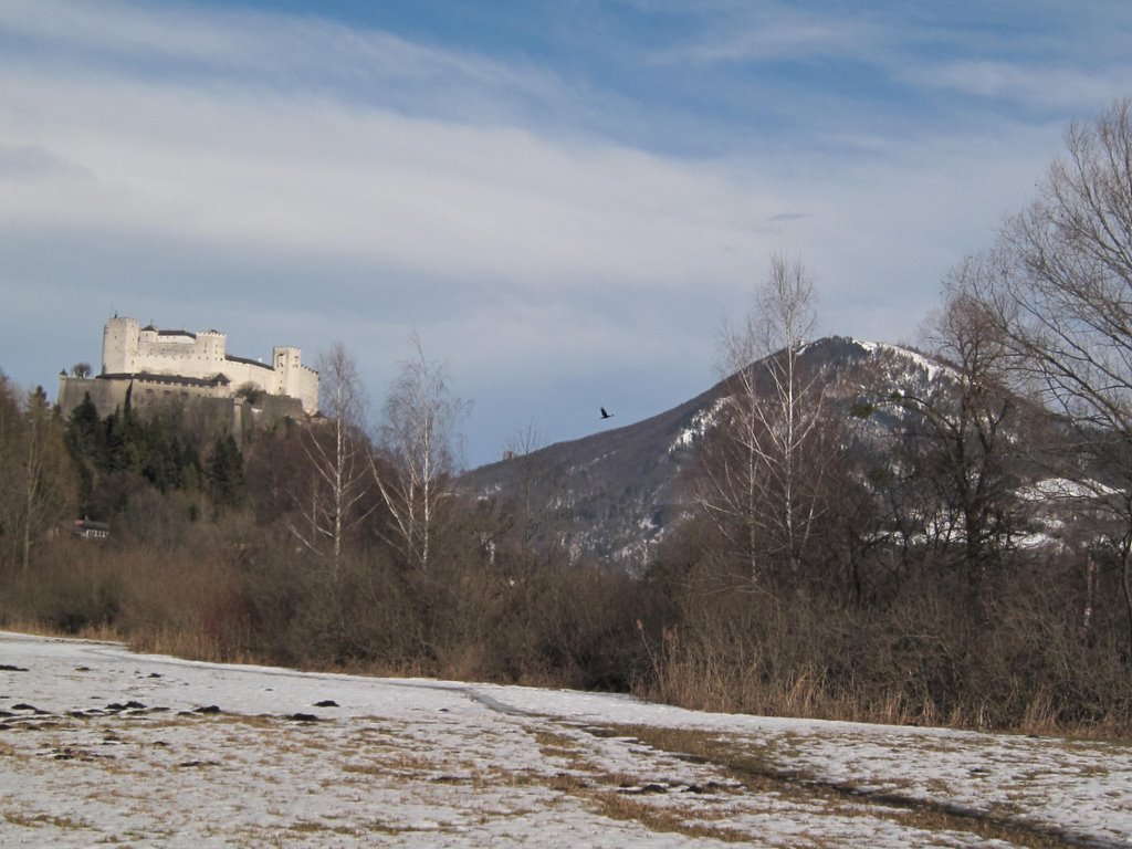 Die Festung mit Gaisberg im Hintergrund by Kruemelkoenig