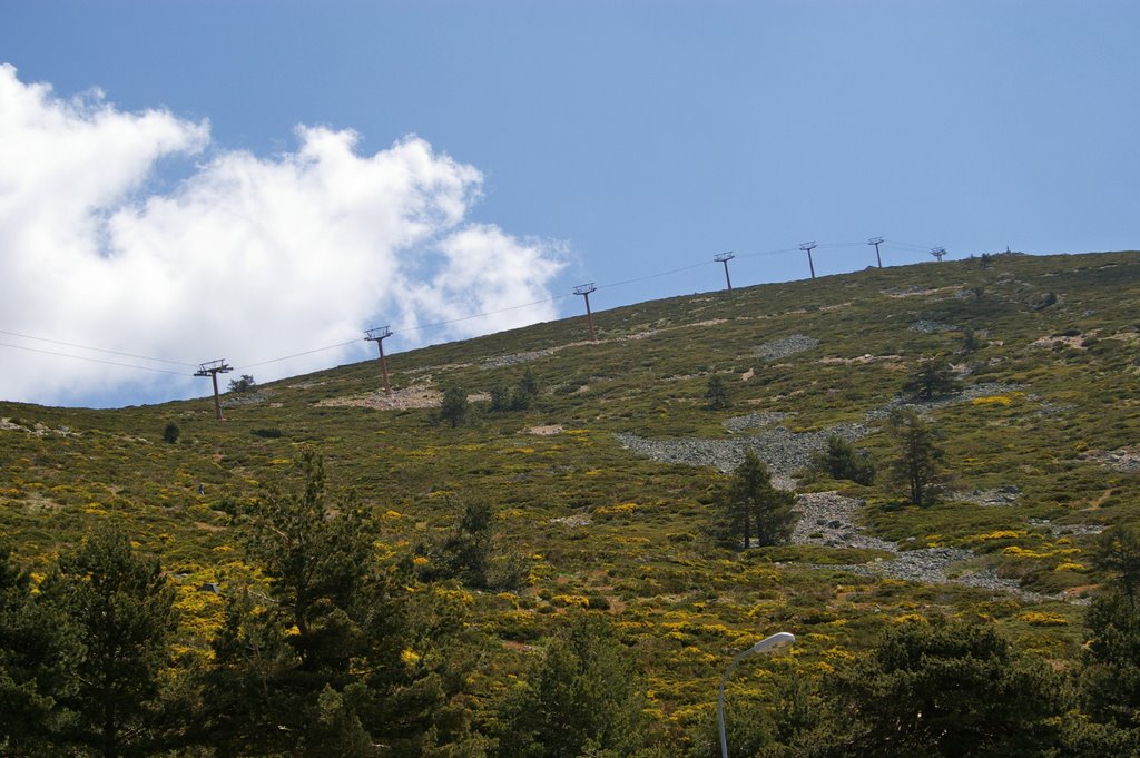 Navacerrada, Madrid, Spain by Lorenzo el Caribeño