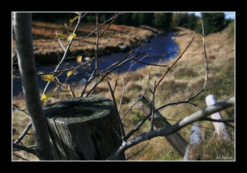 Pale beside Roklanský potok by SaKaLovo