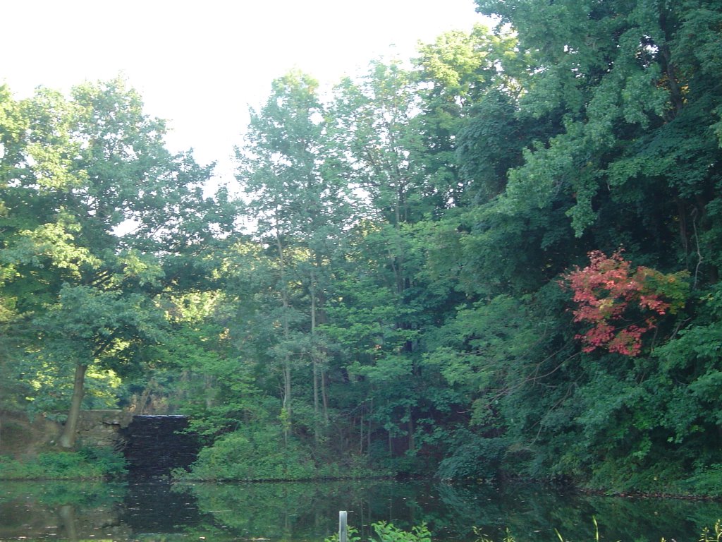 Wintergreen Gorge Cemetery Waterfall by martyd