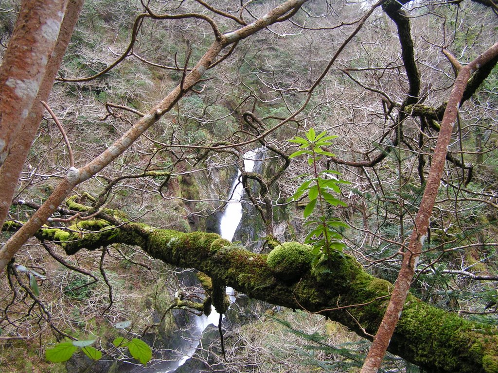 Devils Bridge in February 2009 by Mike Shields