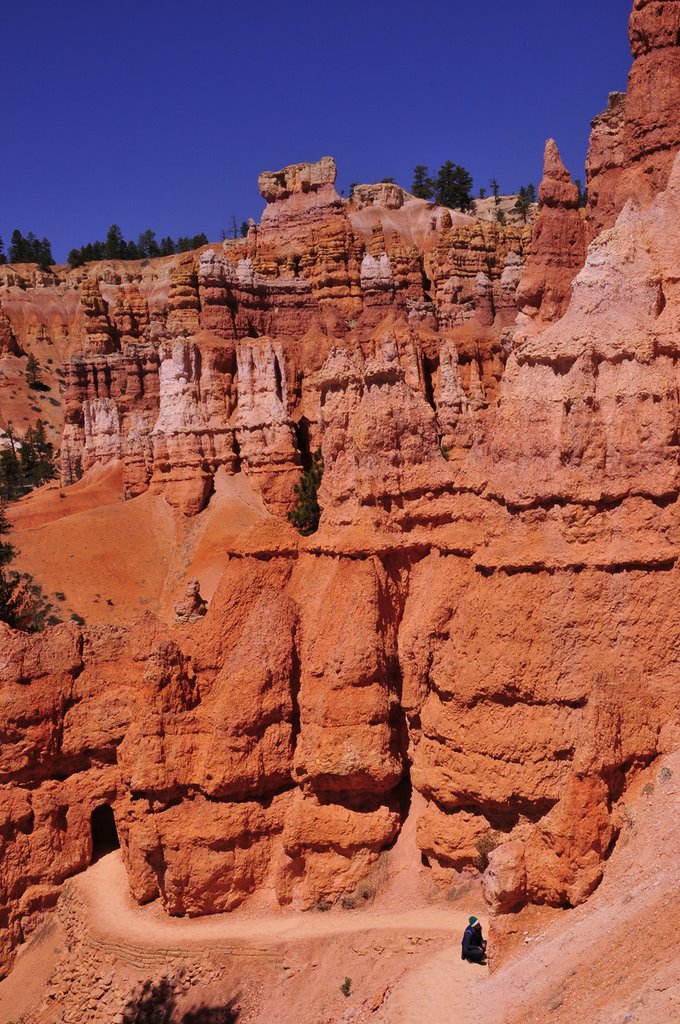 Bryce Canyon, Utah by JOFO Rupchini