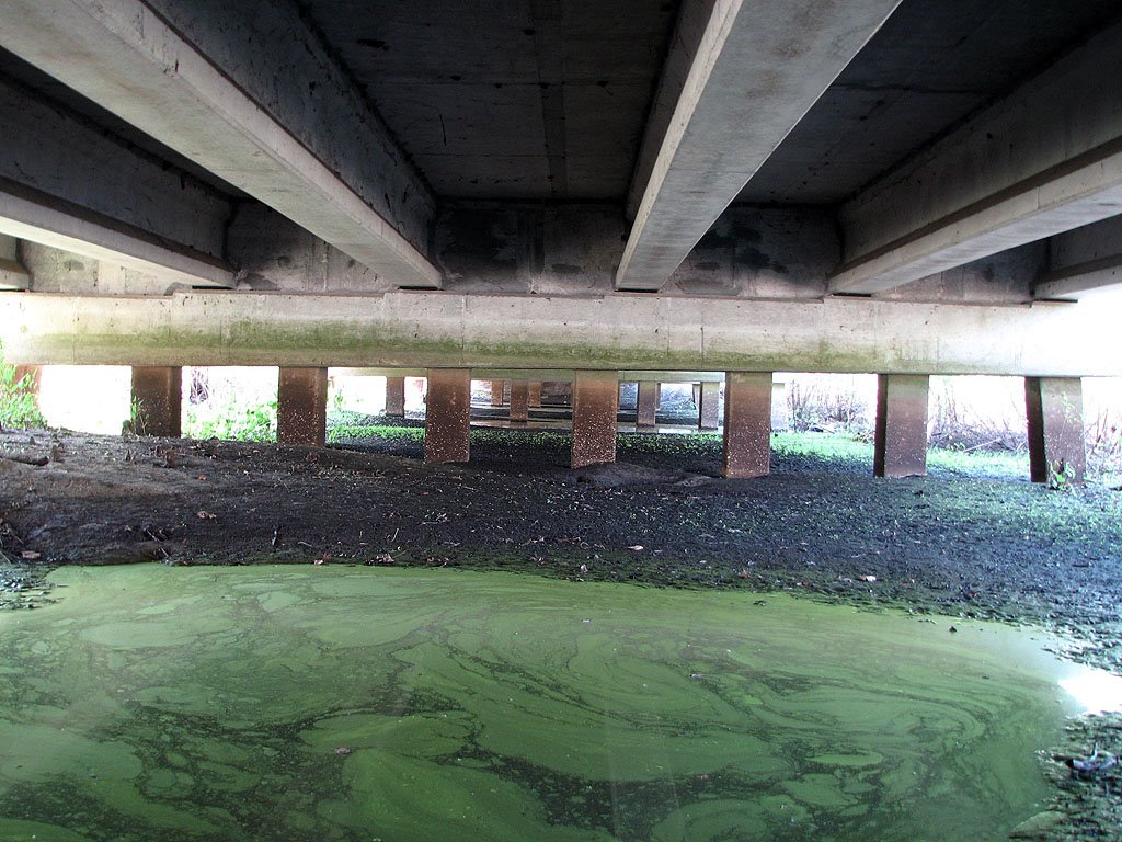 Crossing under RT528 (Beachline) by Tom Choma