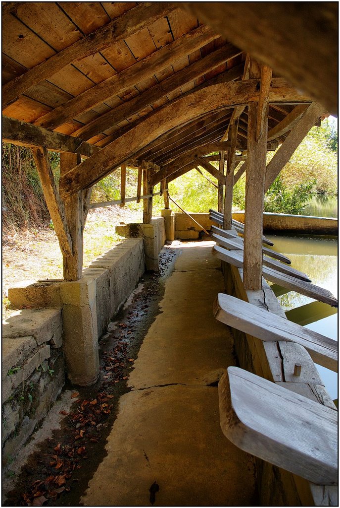 LA BASTIDE-CLAIRENCE [64] - Lavoir sur la Joyeuse. (août 2008) by Michel Chanaud