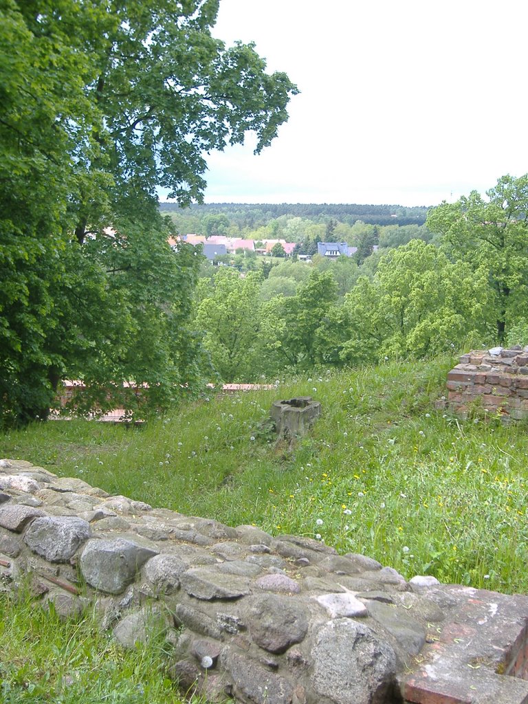 Belzig Burg Eisenhardt by Gottfried Hoffmann - der Thüringer