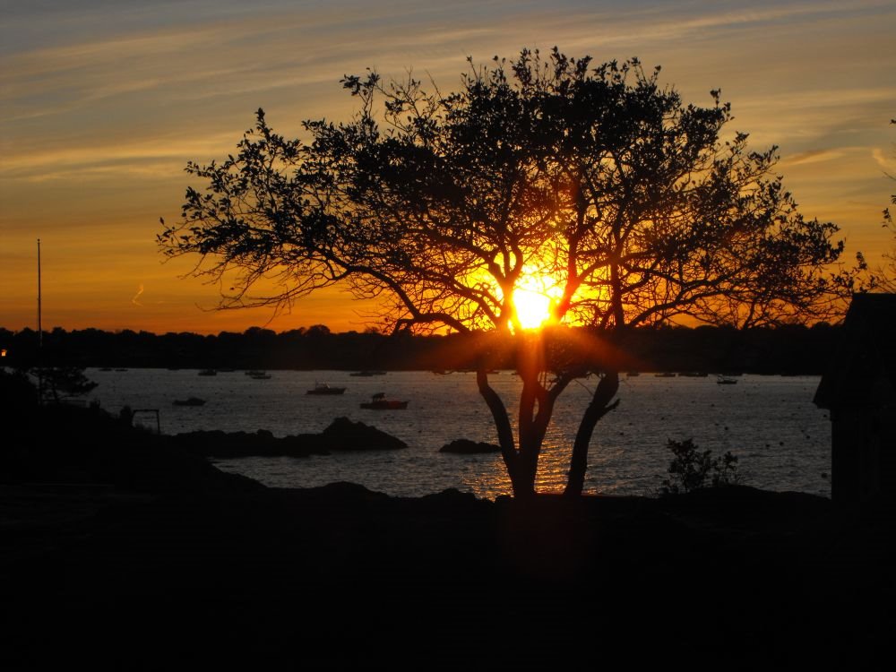 Marblehead Massachusetts, Sunset by glosta161