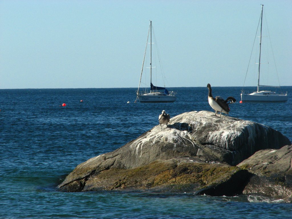 Mirando hacia el mar by Mauricio Vucovich