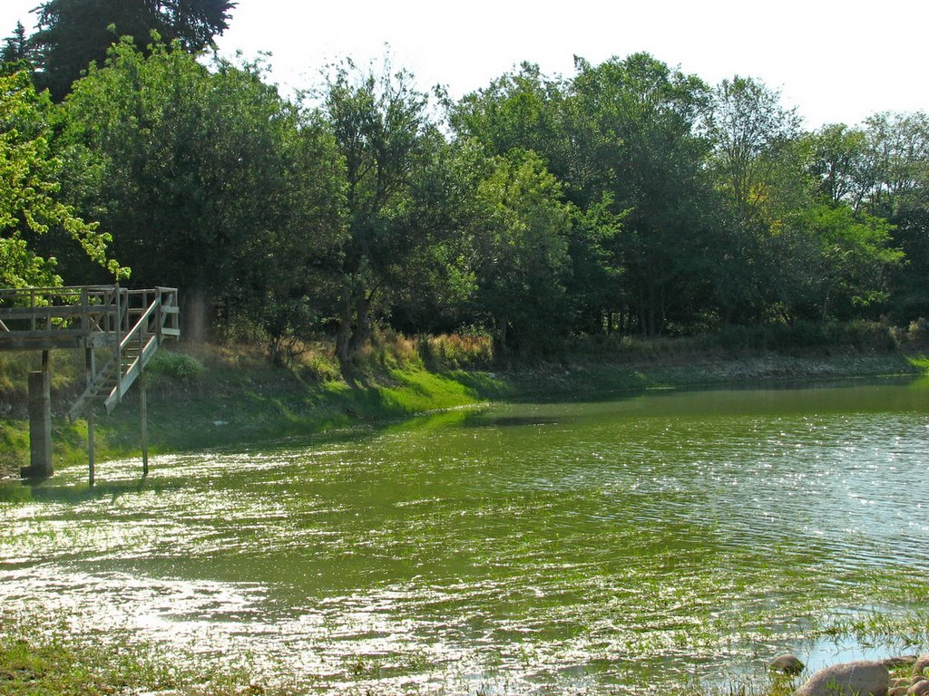 Laguna de pullally by Mauricio Vucovich