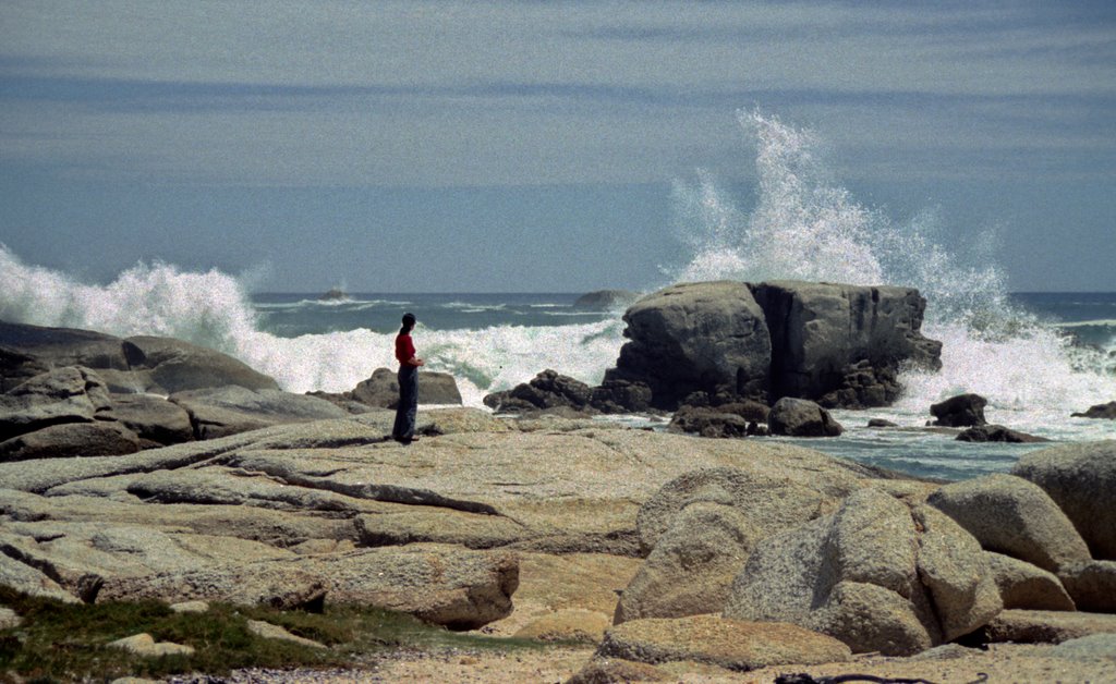 Camps Bay by Kirk Parczyk