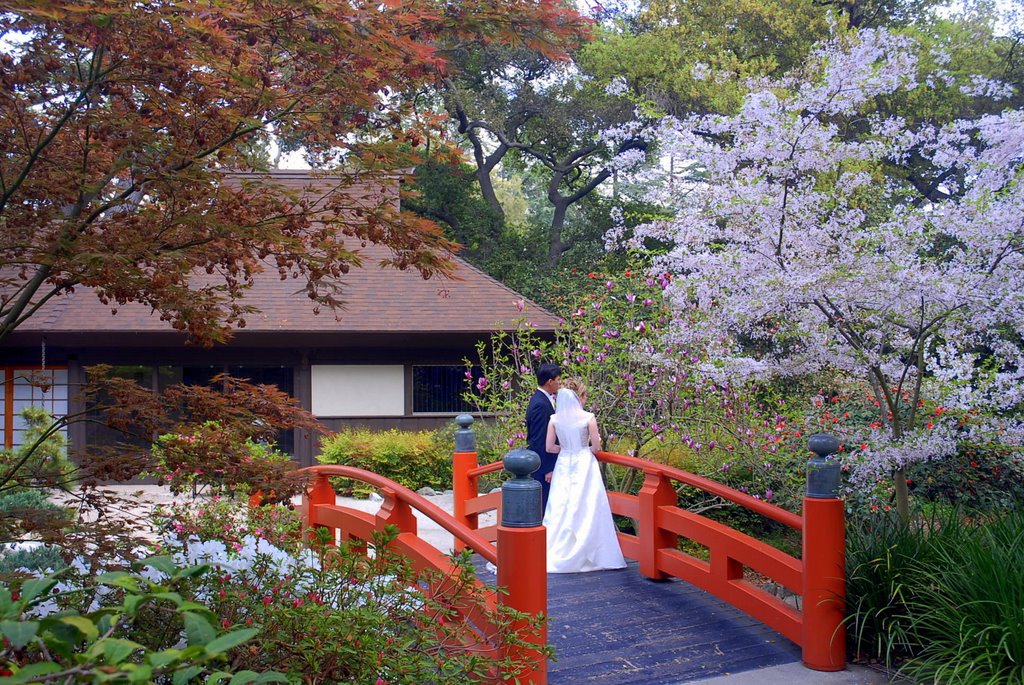 Newlyweds on the Japanese Bridge by brunoscal