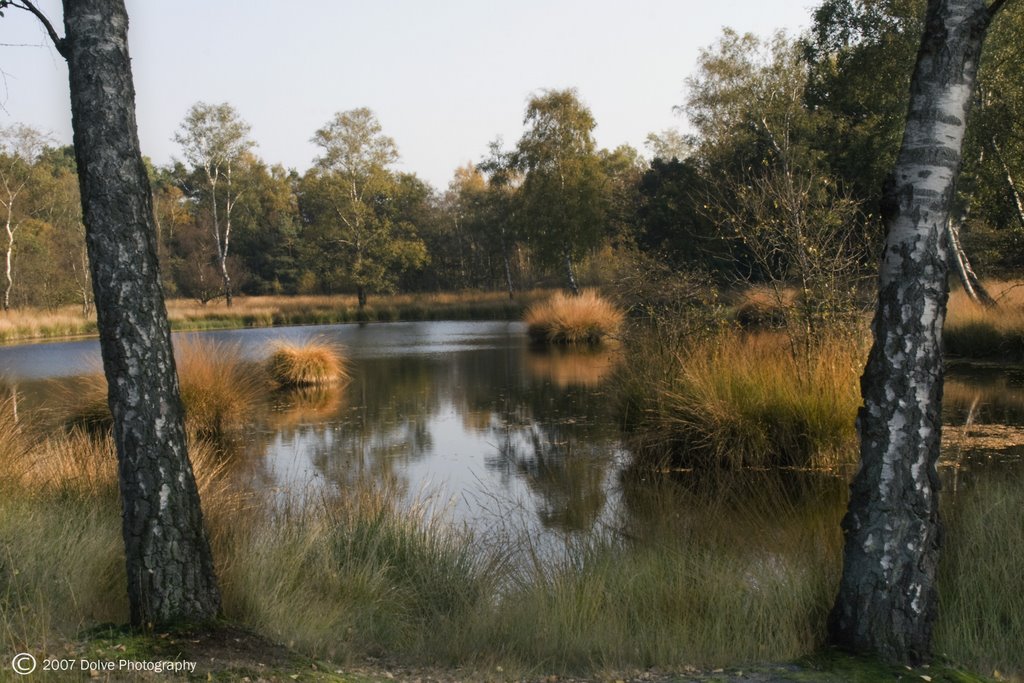 Meertje in Buurserzand, okt. 2007 by Dolve5170