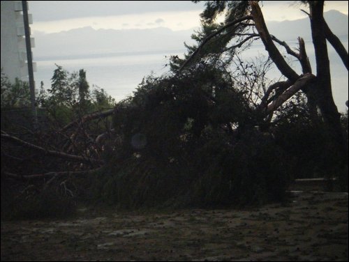 Tornado Damage by Ryan Norwich Boy