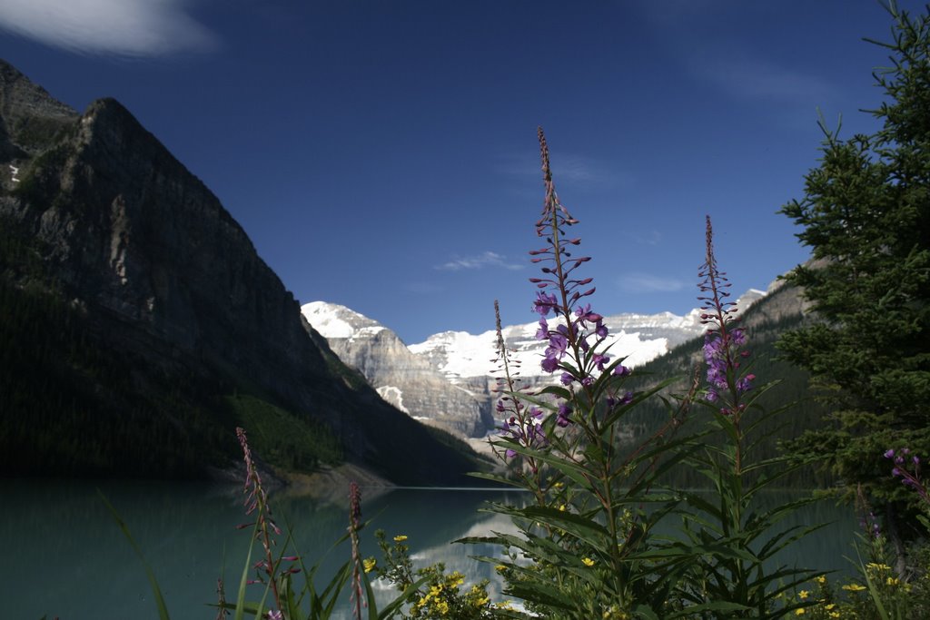 Lake Louis Canada by TimBuchholz