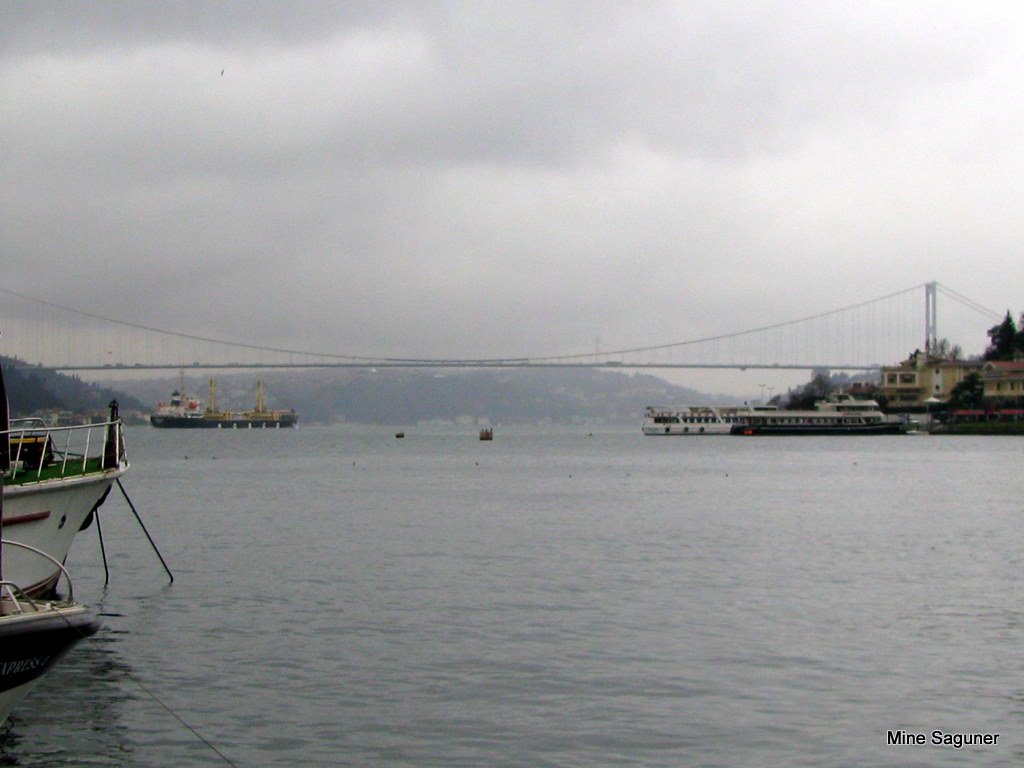 Bridge view from İstinye by © MİNE SAGUNER