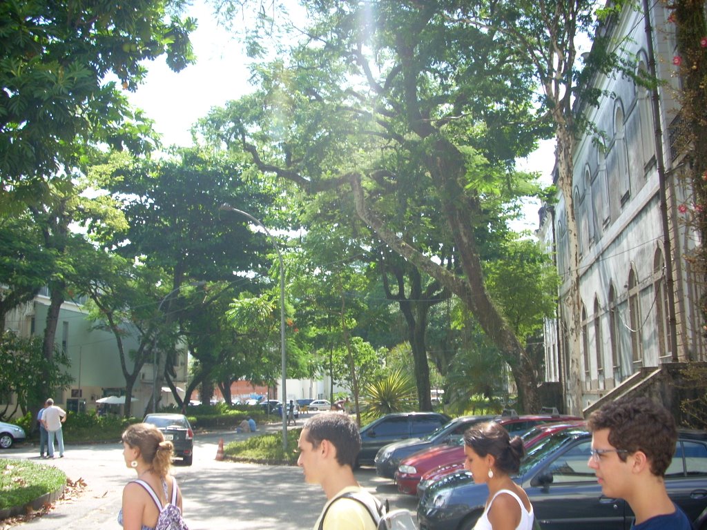 Árvores do Campus da Praia Vermelha by Lucas Conrado