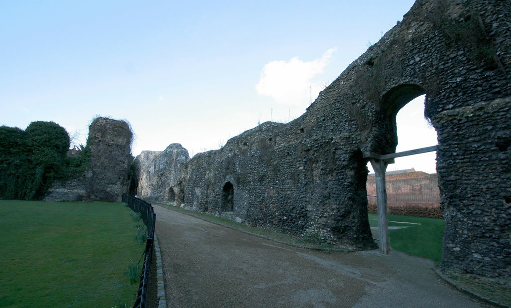 Abbey Ruins, looking North, 3.3.09 by m.miguez2