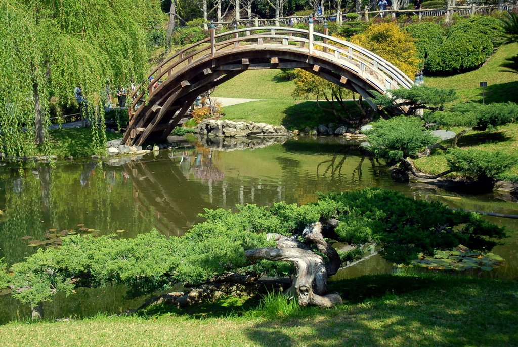 Bridge at Japanese Garden, Huntington Library Gdns by brunoscal