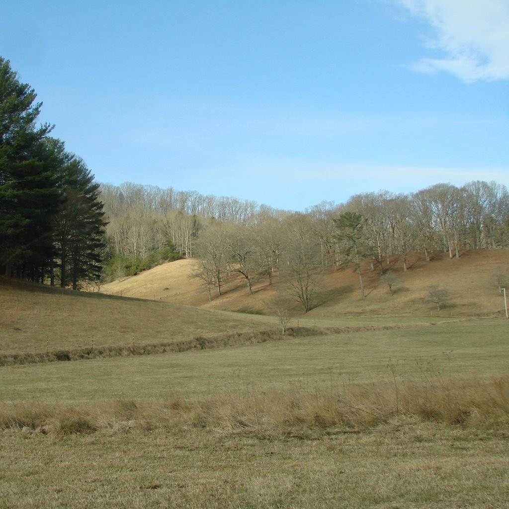 Empty pastures by Jean Gregory Evans