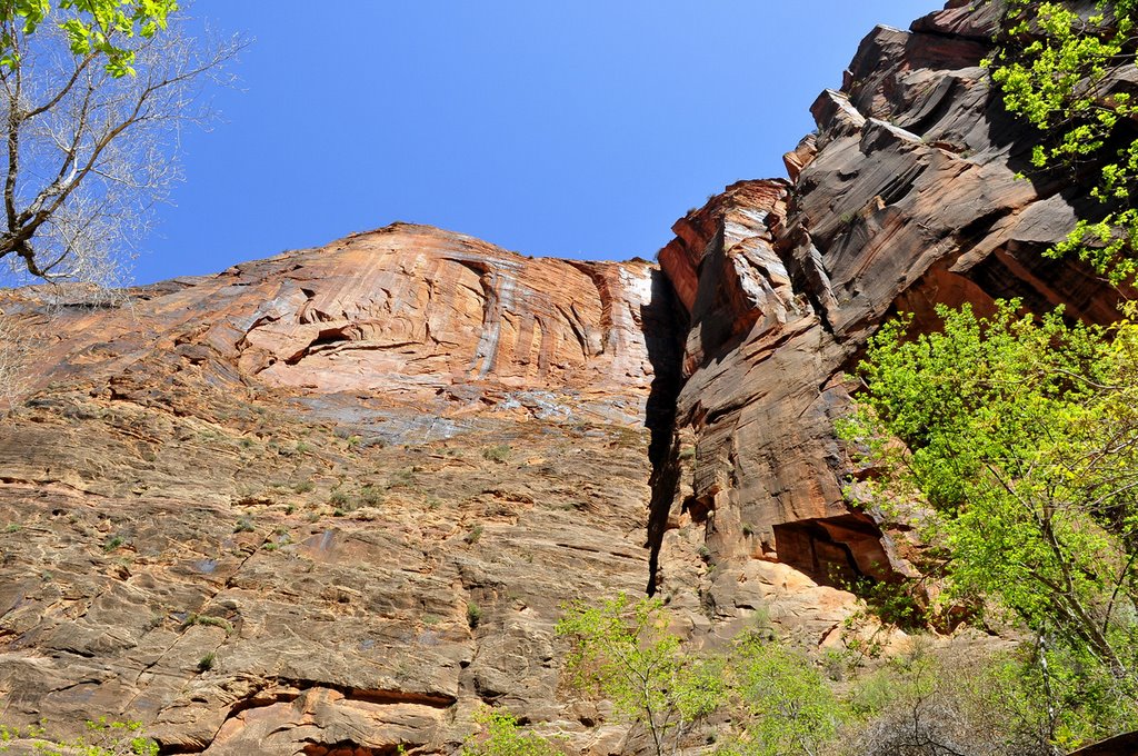 Zion National Park, Utah by JOFO Rupchini