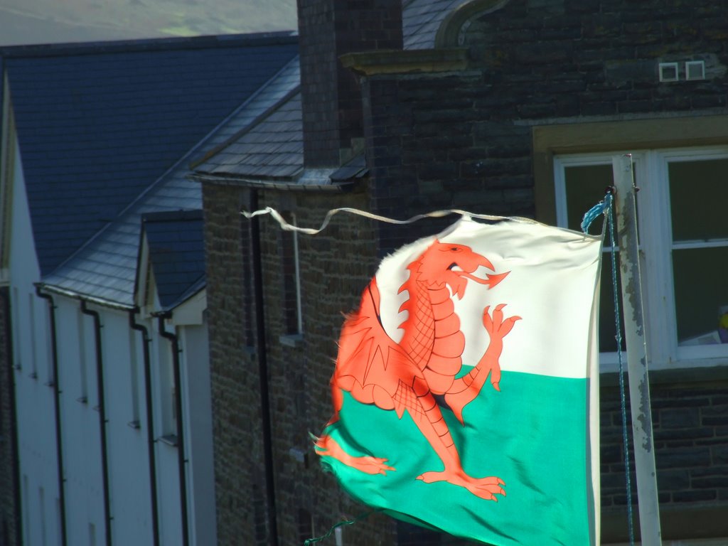 Old welsh proverb .. half a dragon is better than none! by Mac Evans