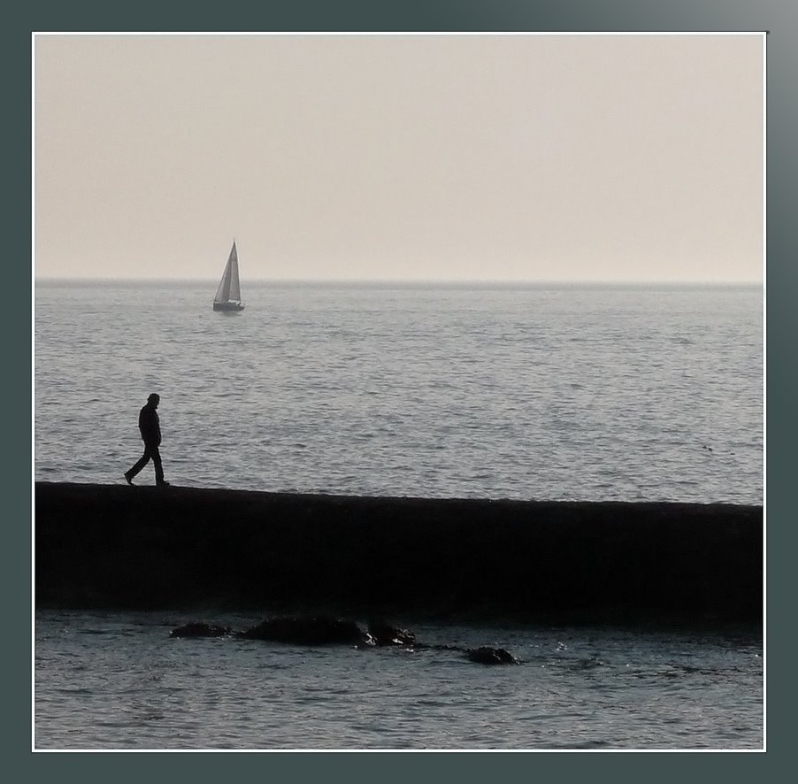 Promenades aux Sables d'Olonne by Pom-Panoramio? YES !