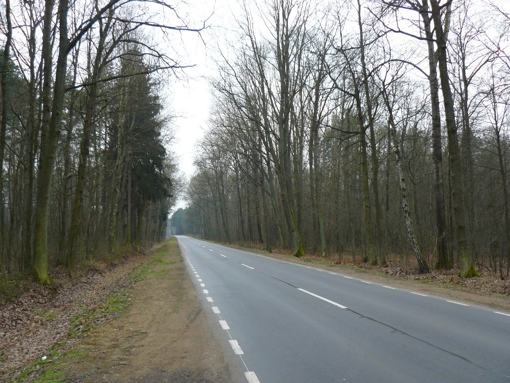 Droga w pobliżu Rezerwatu Śliże (road near a nature reserve Śliże) by qra