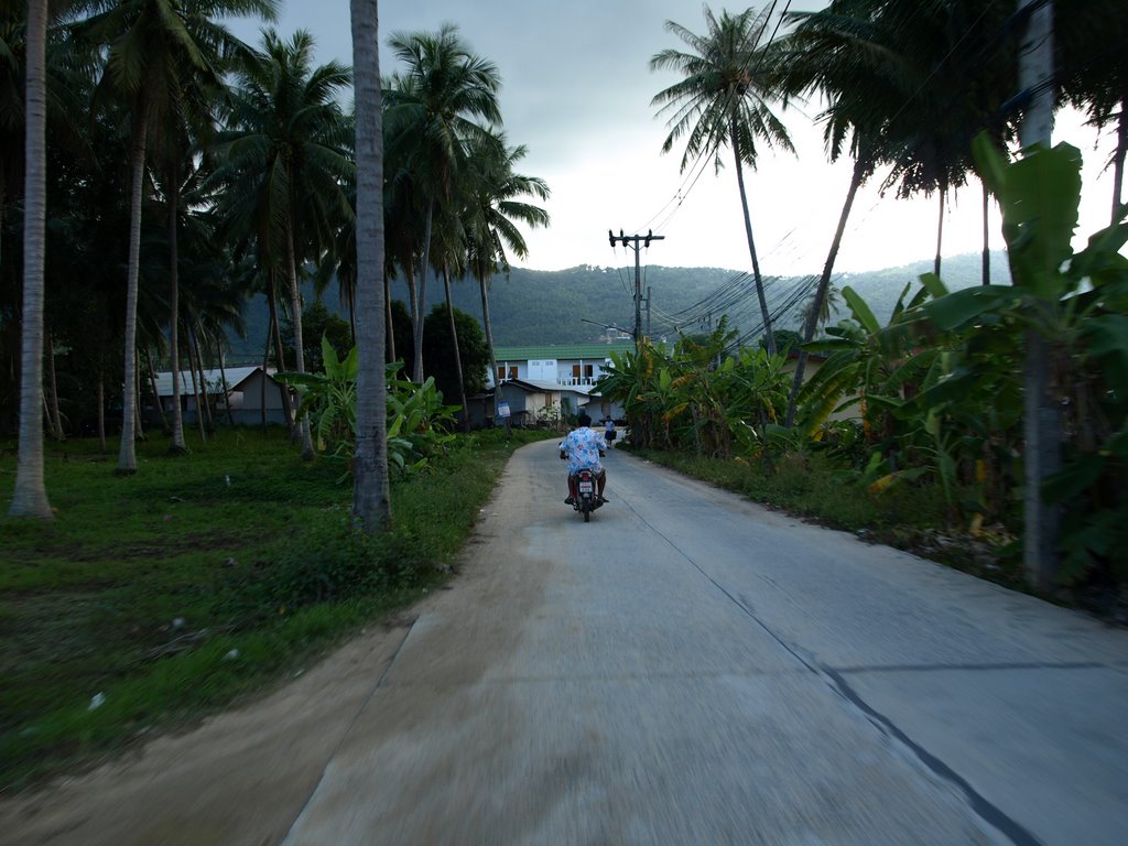 On the road in Ko Samui (02/2009) by NilsW