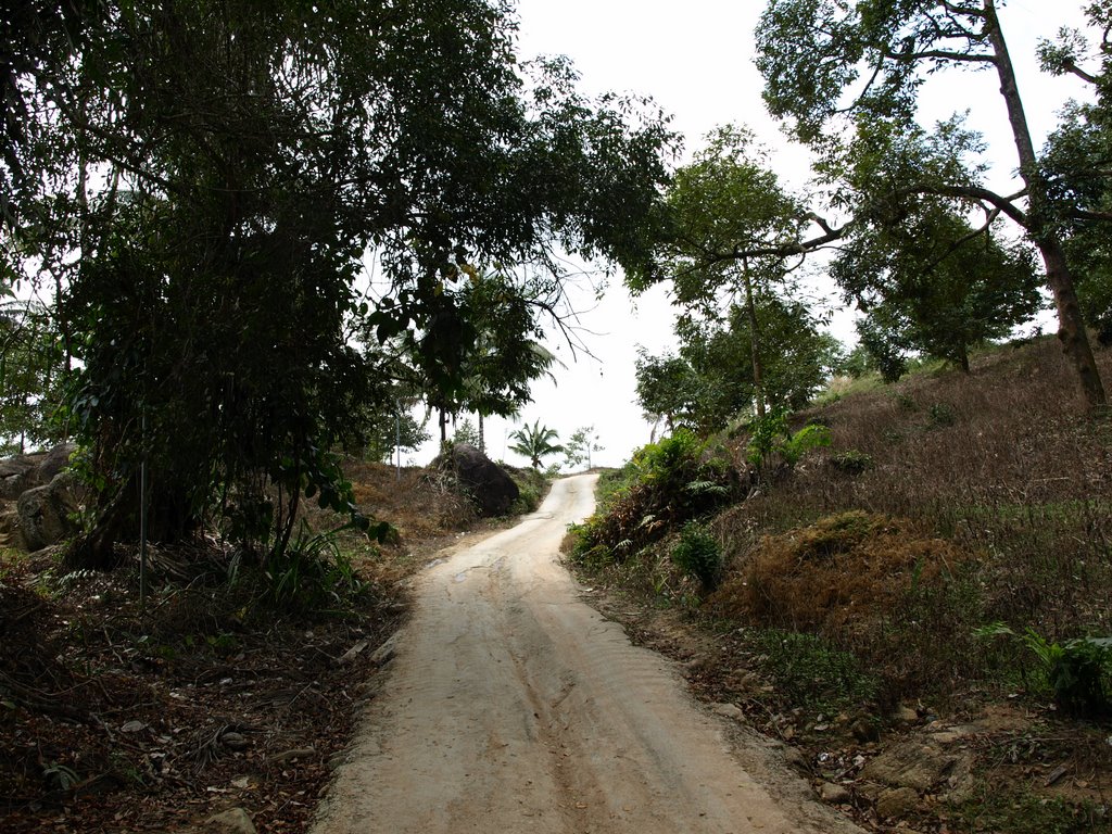 On the road in Ko Samui (02/2009) by Nils Wanner