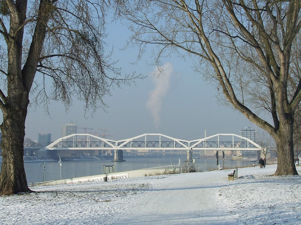 S-Bahnbrücke + Konrad Adenauer Brücke 1/2009 by Michael Melchert