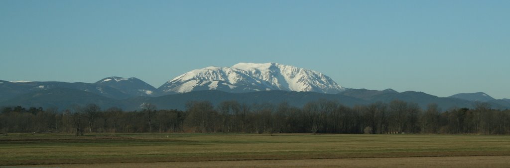 Gemeinde St. Veit an der Gölsen, Austria by Faenson