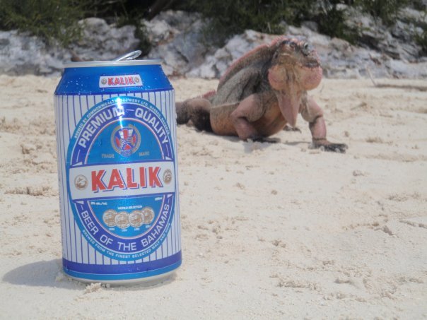 Kalik and Fresh Iguana by Syncity