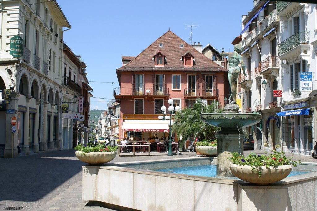 Fontaine de la place Carnot by Christian PERLOT