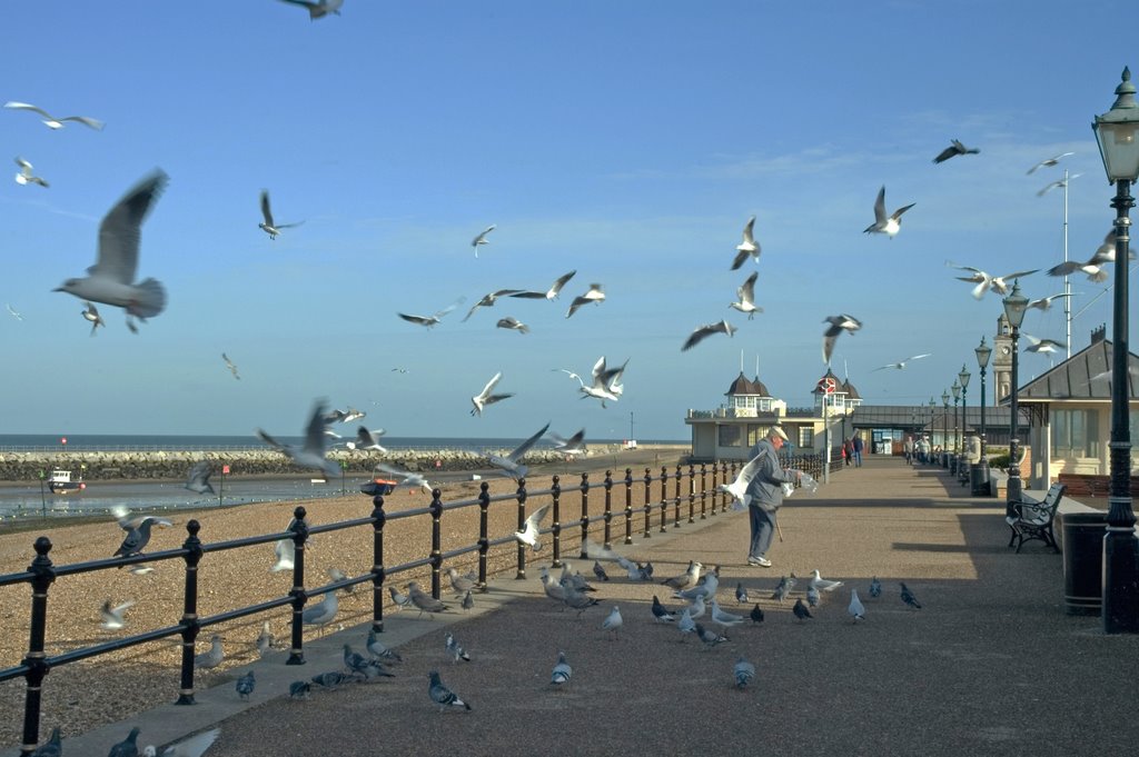 "Feeding the birds" on Herne Bay seafront by Tim Hoare