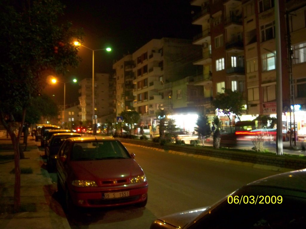 Aydın Caddesi Söke by Hamit Serin