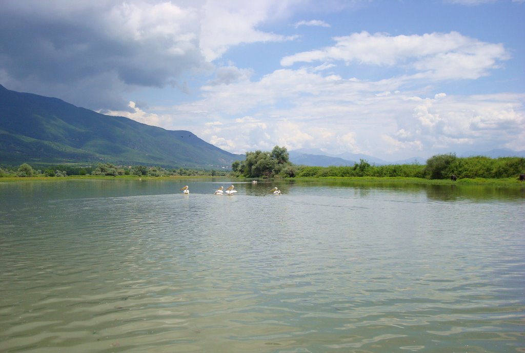 Serres - Kerkini lake by Giorgio Hiker