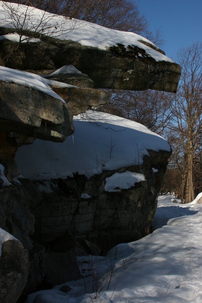 Gardiner, NY, USA by Alvaro Mesa