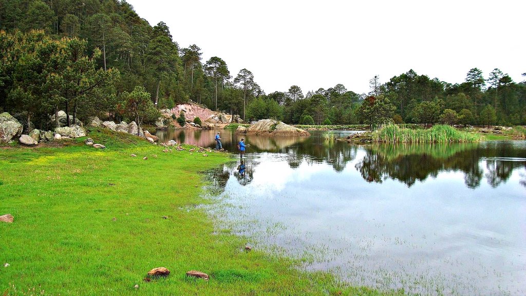 Puentecillas by José Luis Bañuelos P…