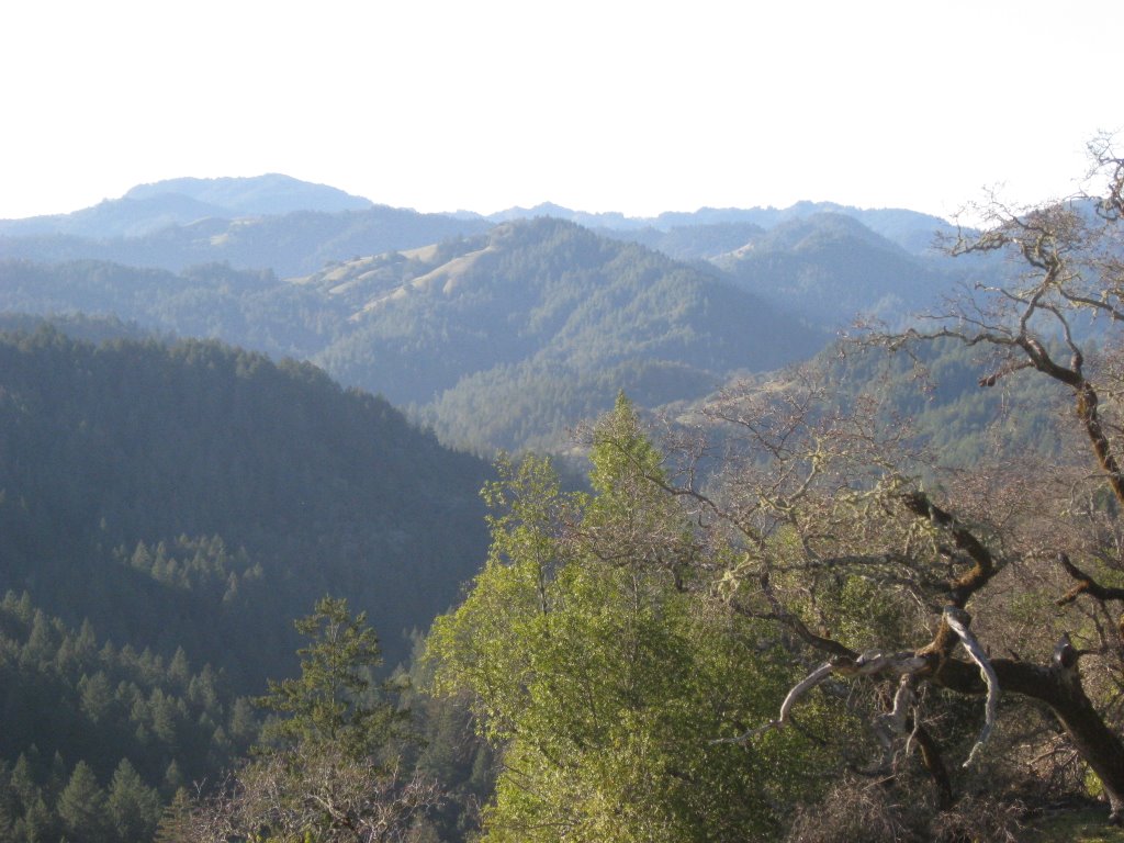 View from the top of mountain in Armstrong Park by mtordsen