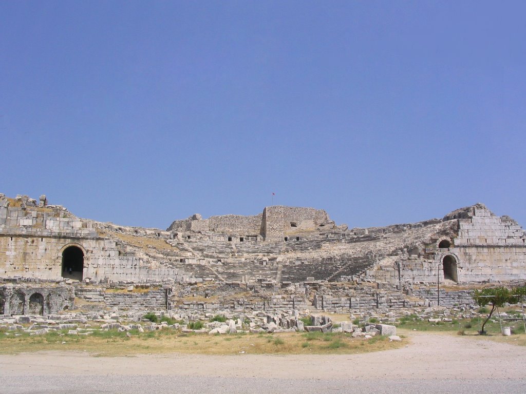 Great Theatre of Miletus by Jan Geel