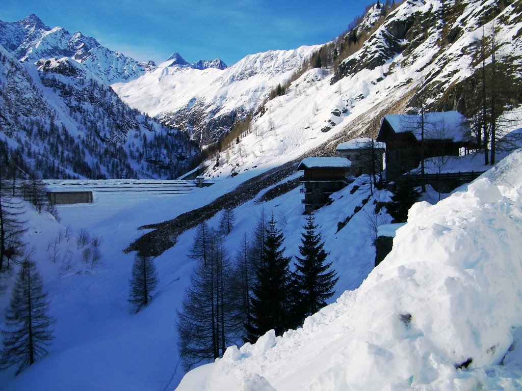 ALPE CHEGGIO 15/02/2009 by Benny Greco