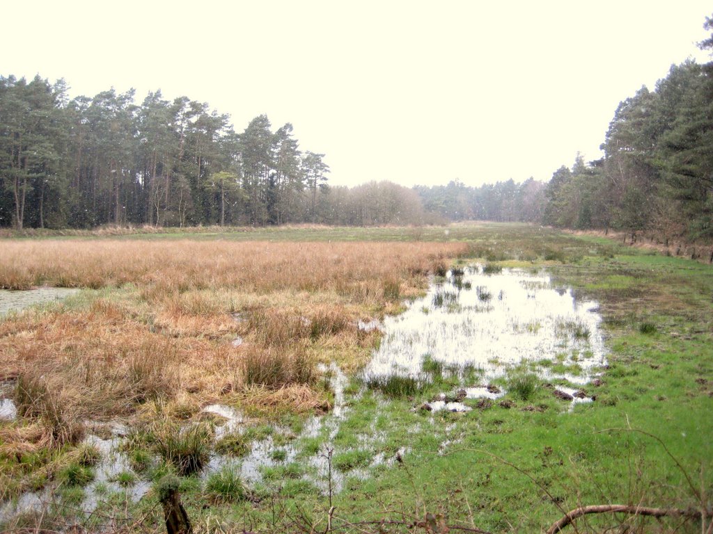 Holste - Auf dem Vorgeschichtspfad "Das Seemoor" by Robert-68