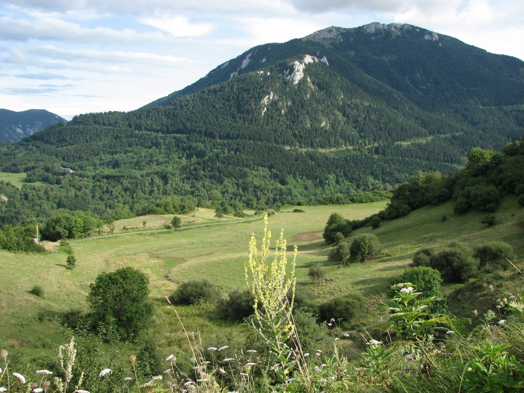 Paysage vue depuis le Château de MONTSEGUR by DESRENTES ERIC