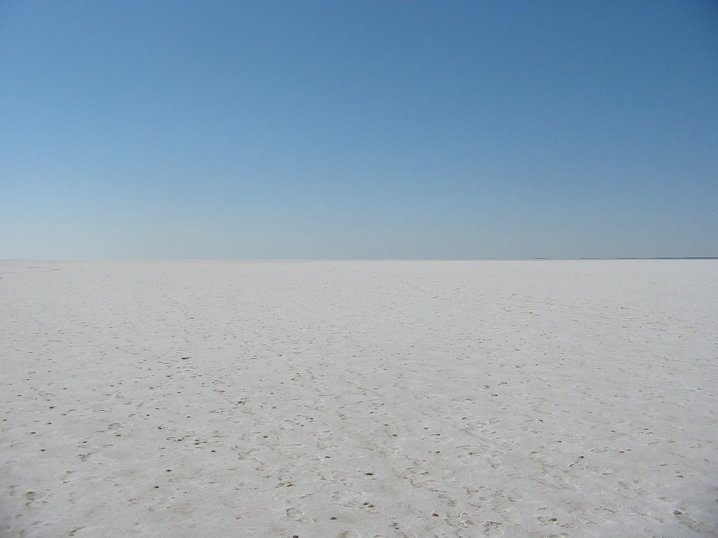 Lake Eyre 2003 by Merv