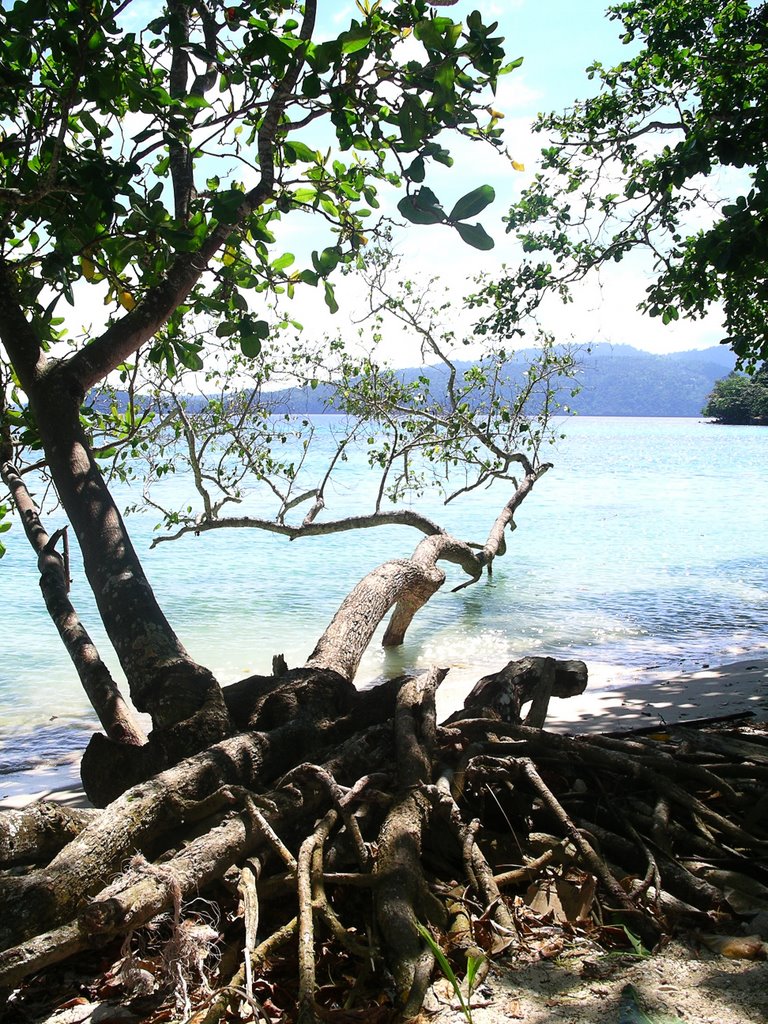 Pulau Weh - Gapang resorts by Thomas Calvot