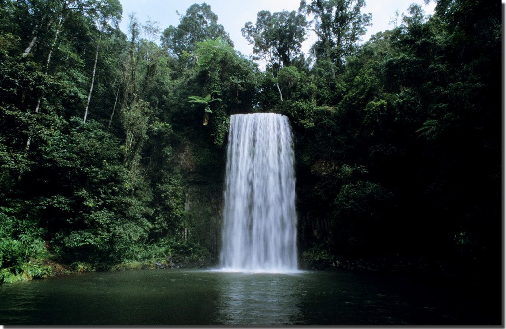 Milla Falls, Atherton Tableland, QLD, AUS by roland.fr