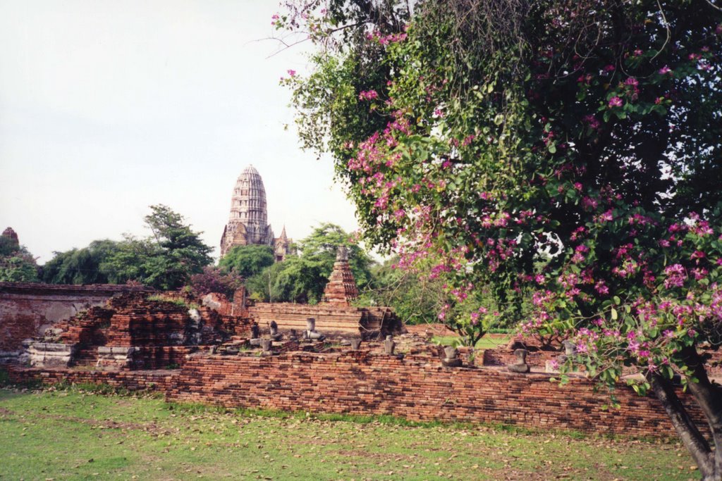 Wat Mahathat, Ayutthaya by Andreas Hörstemeier