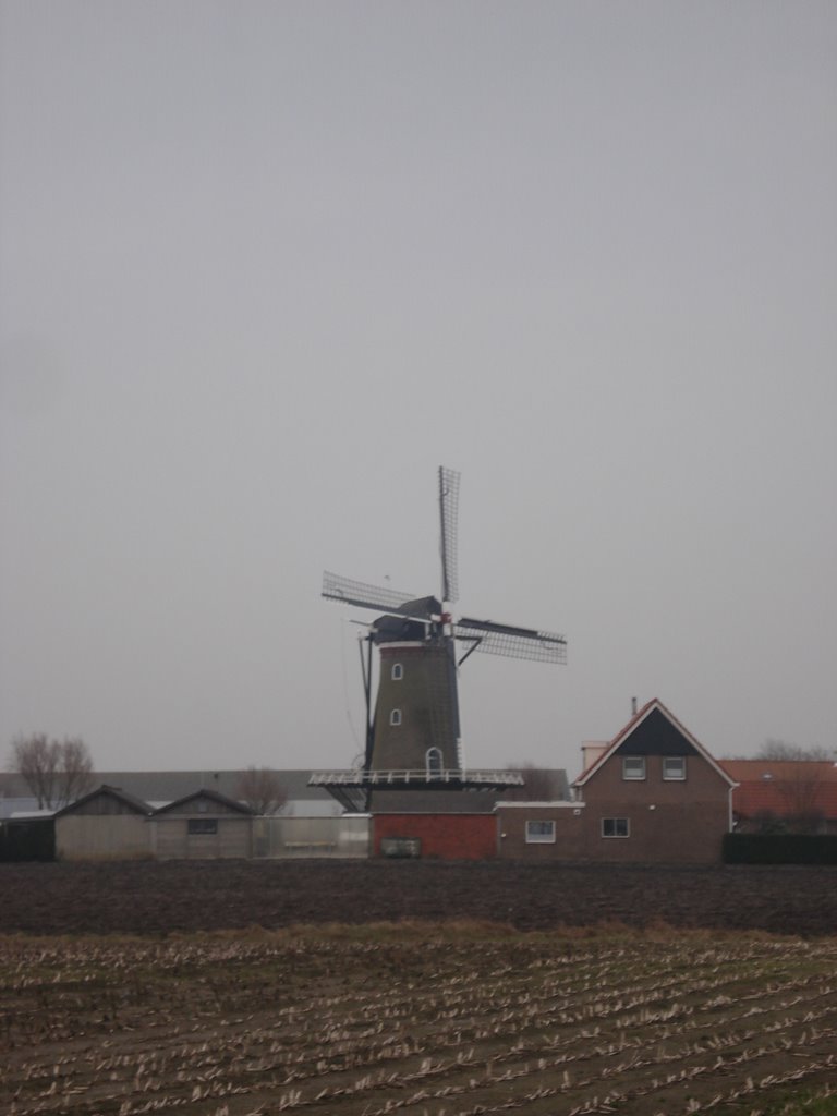 Molen van Sint-Maartensdijk by Jim Bernaards