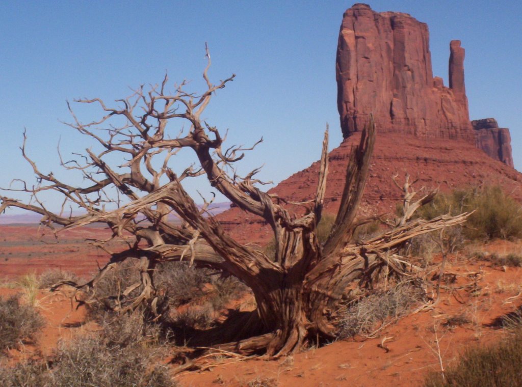 Apache County, AZ, USA by bonsaibill2000