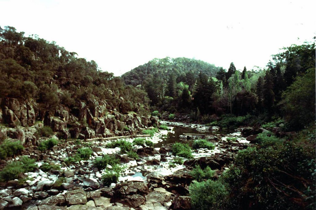 Cataract Gorge by pipposky