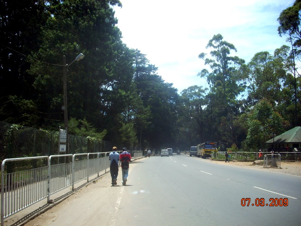 Nuwaraeliya by Saman Jayawardene